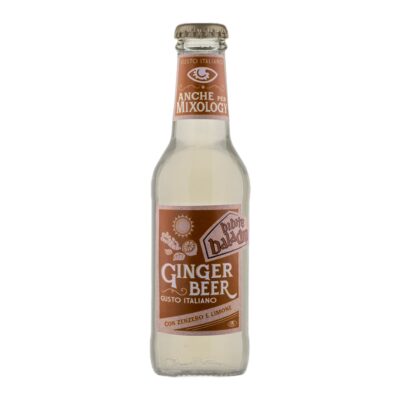 Baladin Ginger Beer 20cl Box 24 Bottiglie